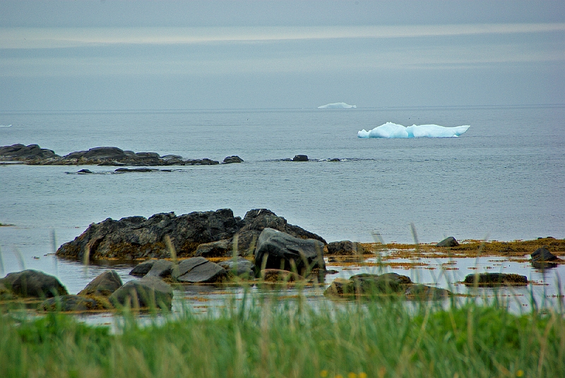 IMGP1009.jpg - Icebergs near L'Anse aux Meadows.