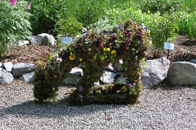 P7010337.jpg - A display at  the Alaska Botanical Garden in Anchorage